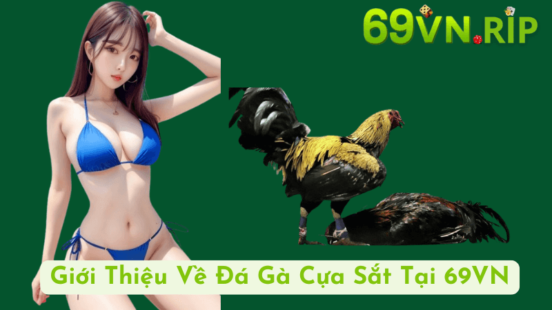 Giới Thiệu Về Đá Gà Cựa Sắt Tại 69VN