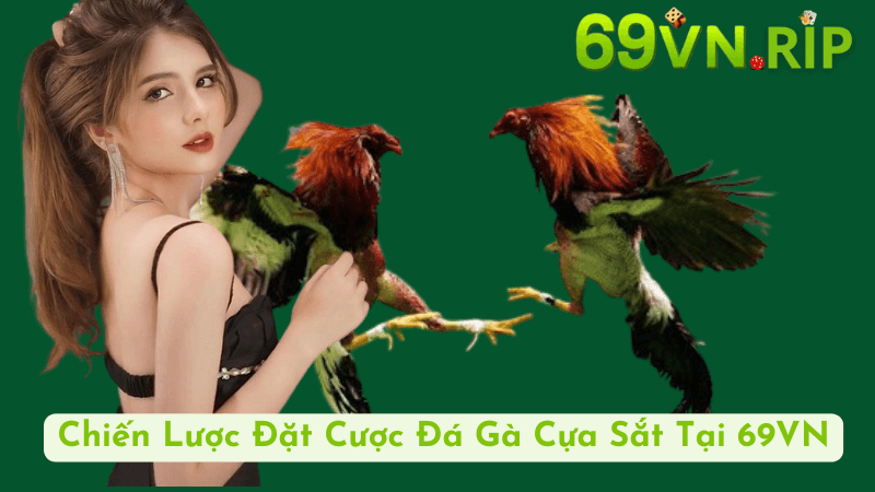 Chiến Lược Đặt Cược Đá Gà Cựa Sắt Tại 69VN