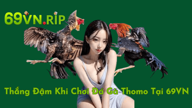 Rèn Luyện Tâm Lý Vững Vàng Khi Chơi Đá Gà Thomo