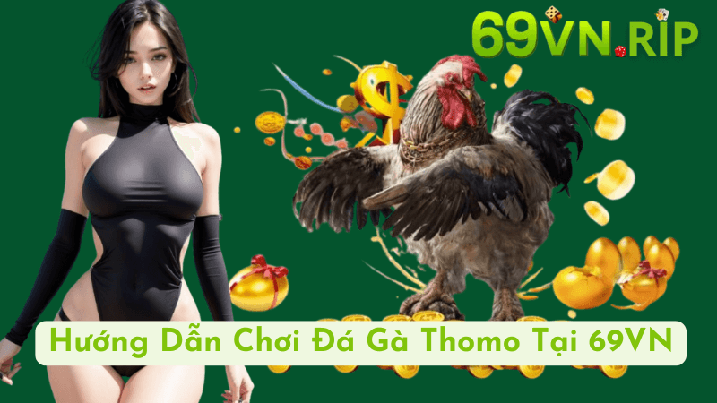 Hướng Dẫn Chơi Đá Gà Thomo Tại 69VN